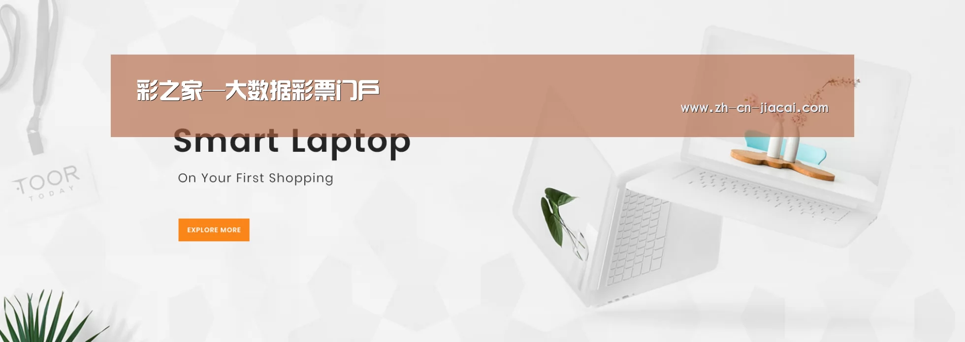 某某网络科技有限公司