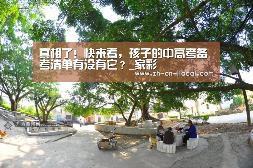 真相了！快来看，孩子的中高考备考清单有没有它？_家彩