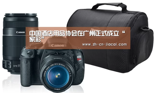 中国酒店用品协会在广州正式成立“家彩”(图2) 家彩