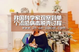 我国科学家观察到单个流感病毒脱壳过程-家彩(图1) 家彩