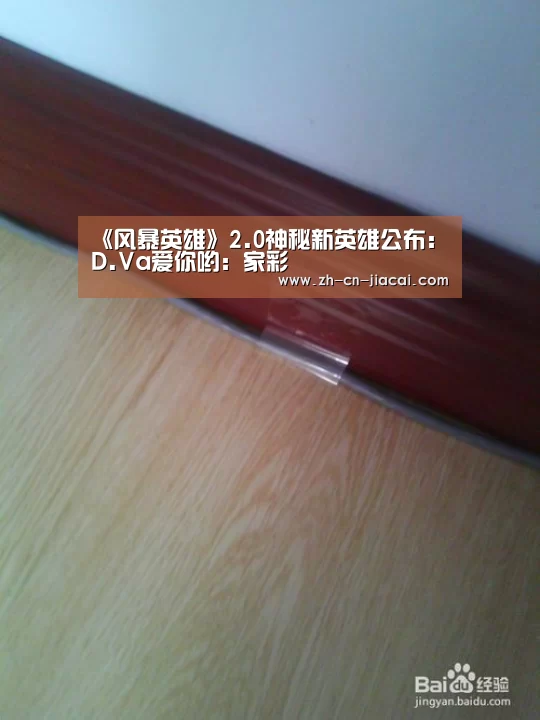 《风暴英雄》2.0神秘新英雄公布:D.Va爱你哟:家彩(图1) 家彩