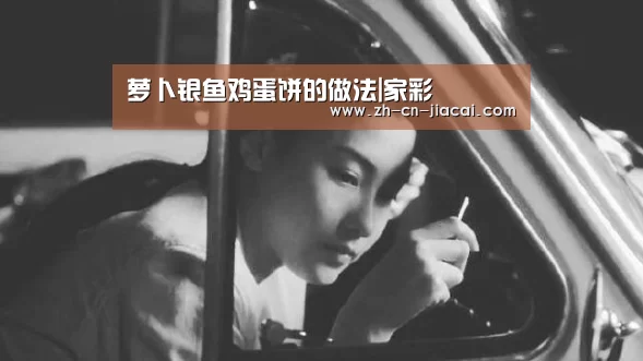 萝卜银鱼鸡蛋饼的做法|家彩(图4) 家彩