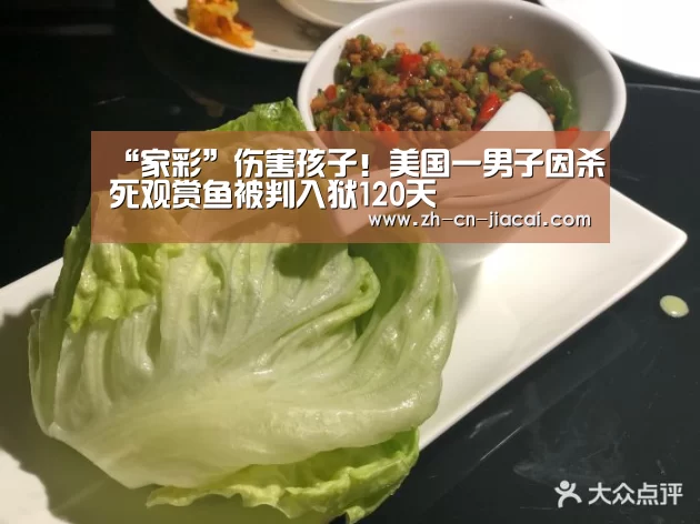 “家彩”伤害孩子!美国一男子因杀死观赏鱼被判入狱120天(图2) 家彩