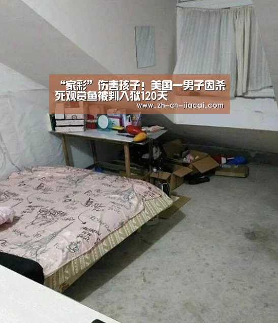 “家彩”伤害孩子!美国一男子因杀死观赏鱼被判入狱120天(图3) 家彩