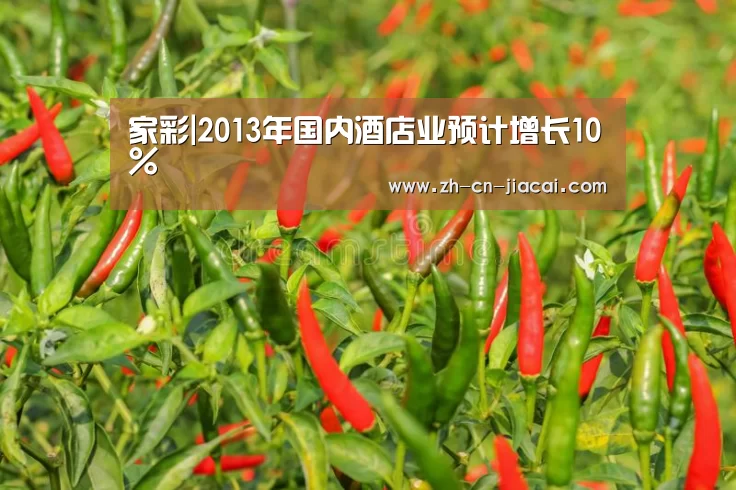 家彩|2013年国内酒店业预计增长10%(图2) 家彩