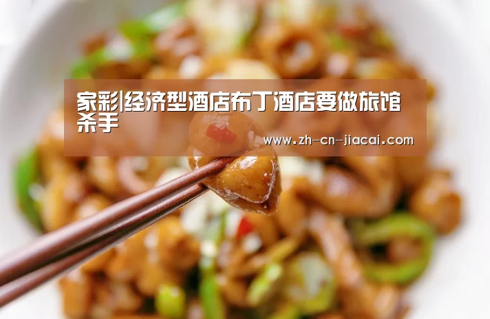 家彩|经济型酒店布丁酒店要做旅馆杀手(图1) 家彩