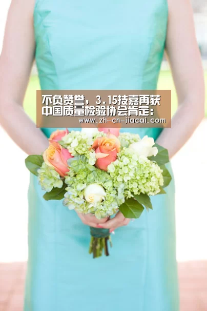 不负赞誉,3.15技嘉再获中国质量检验协会肯定:家彩(图2) 家彩