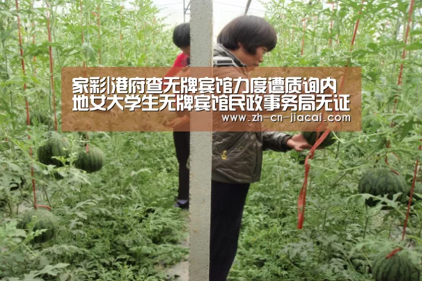 家彩