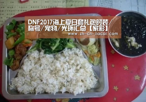 DNF2017海上夏日套礼包时装/称号/宠物/光环汇总【家彩】(图3) 家彩