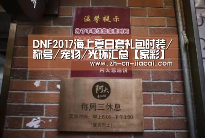 DNF2017海上夏日套礼包时装/称号/宠物/光环汇总【家彩】(图2) 家彩