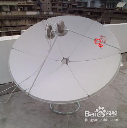 彩椒炒土豆丝的做法【家彩】(图2) 家彩
