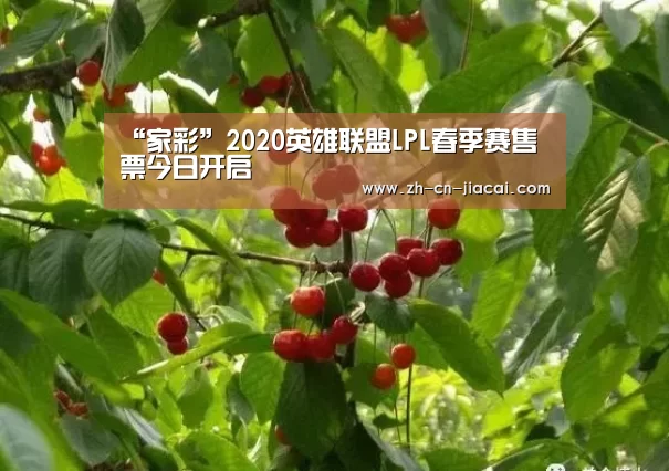“家彩”2020英雄联盟LPL春季赛售票今日开启(图4) 家彩