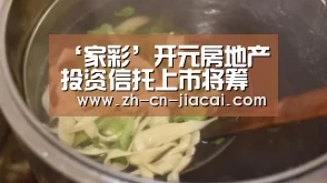 ‘家彩’开元房地产投资信托上市将筹集2.54亿美元(图3) 家彩