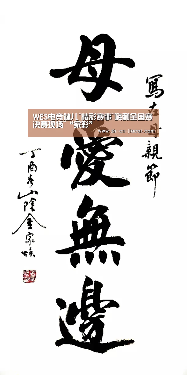 WES电竞健儿~精彩赛事~嗨翻全国赛决赛现场~“家彩”(图1) 家彩