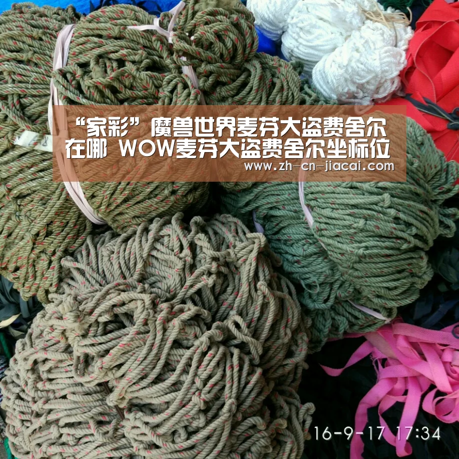 “家彩”魔兽世界麦芬大盗费舍尔在哪 WOW麦芬大盗费舍尔坐标位置详解(图1) 家彩
