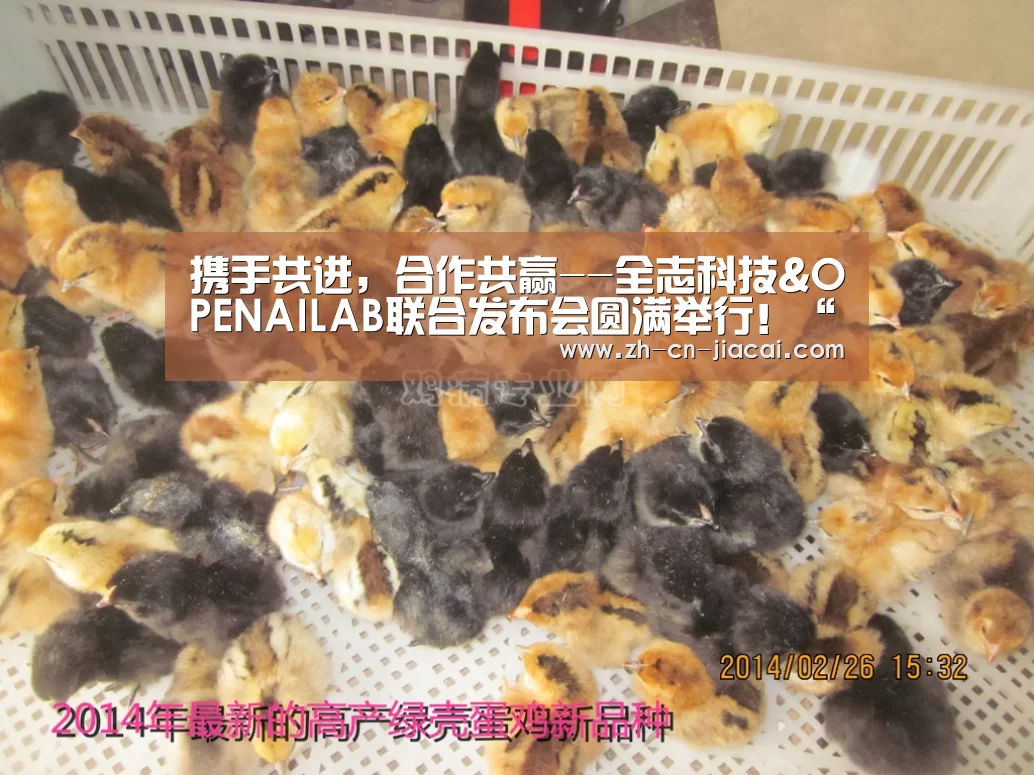 携手共进,合作共赢--全志科技&OPENAILAB联合发布会圆满举行!“家彩”(图3) 家彩