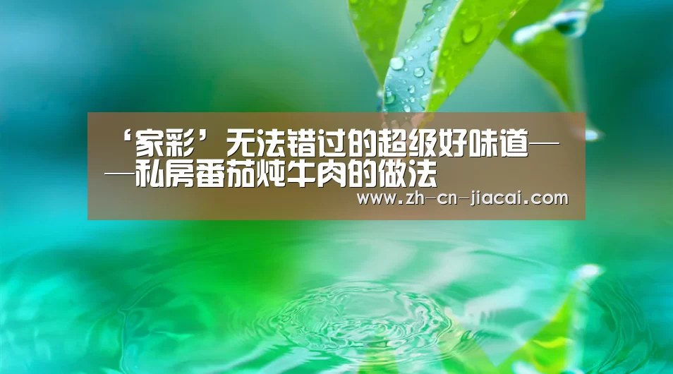 ‘家彩’无法错过的超级好味道——私房番茄炖牛肉的做法(图2) 家彩