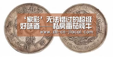‘家彩’无法错过的超级好味道——私房番茄炖牛肉的做法(图3) 家彩