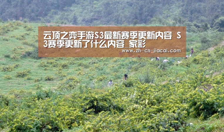 云顶之弈手游S3最新赛季更新内容 S3赛季更新了什么内容_家彩